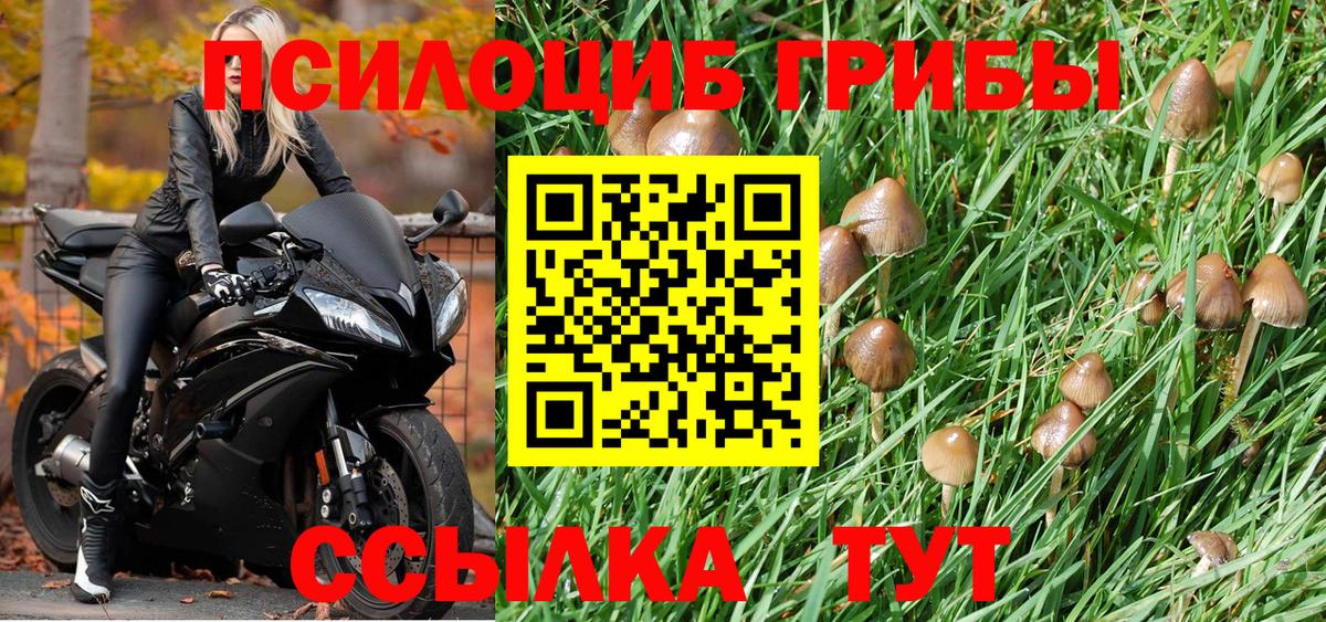 Гашиш Борзя
