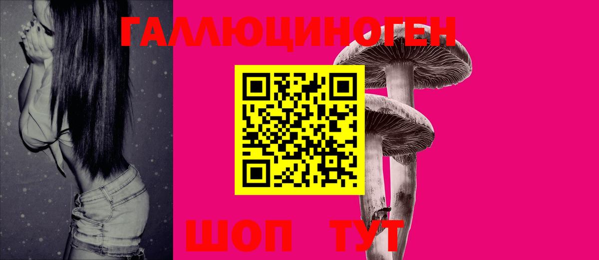 купить наркоту  Галлюциногенные грибы Psilocybe  Вход с VPN  Борзя  Псилоцибиновые грибы мухоморы 
